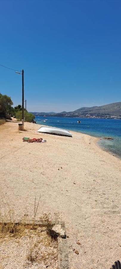 Dalmatia Ciovo *
